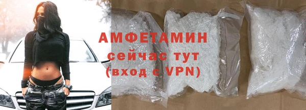 гашик Дмитров
