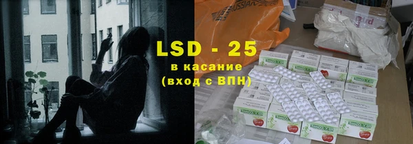 гашик Дмитров
