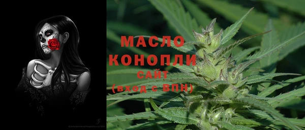 гашик Дмитров