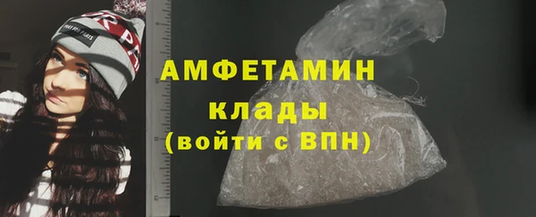 гашик Дмитров