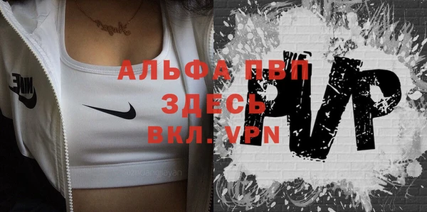 гашик Дмитров