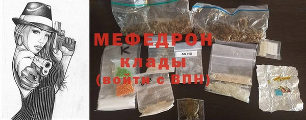 гашик Дмитров