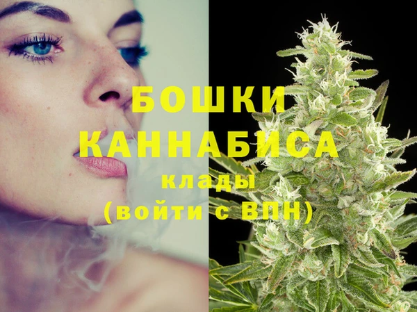 гидра Дмитриев