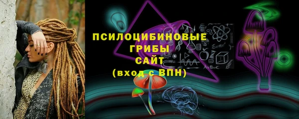 гашик Дмитров
