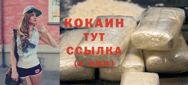 гашик Дмитров