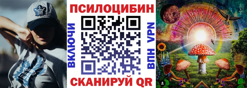 blacksprut   Брянск  Псилоцибиновые грибы MAGIC MUSHROOMS 