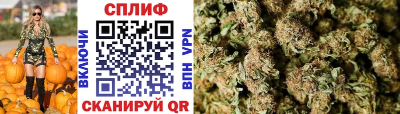 как найти закладки  blacksprut как зайти  Бошки Шишки Amnesia  Брянск 